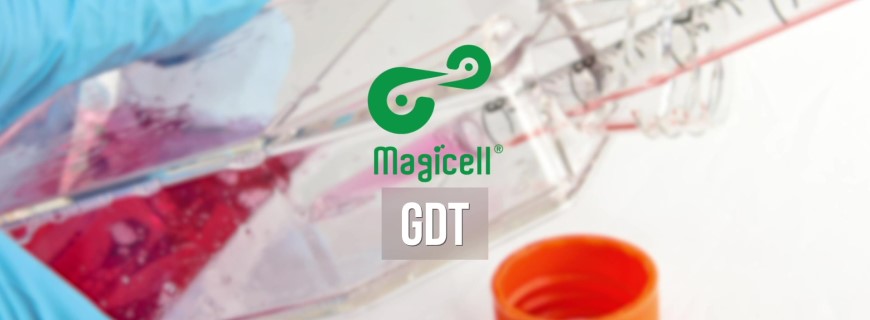 Medigen-GDT-TW-V210-sub-1080p.mp4_20201113_112559.567[870x320]